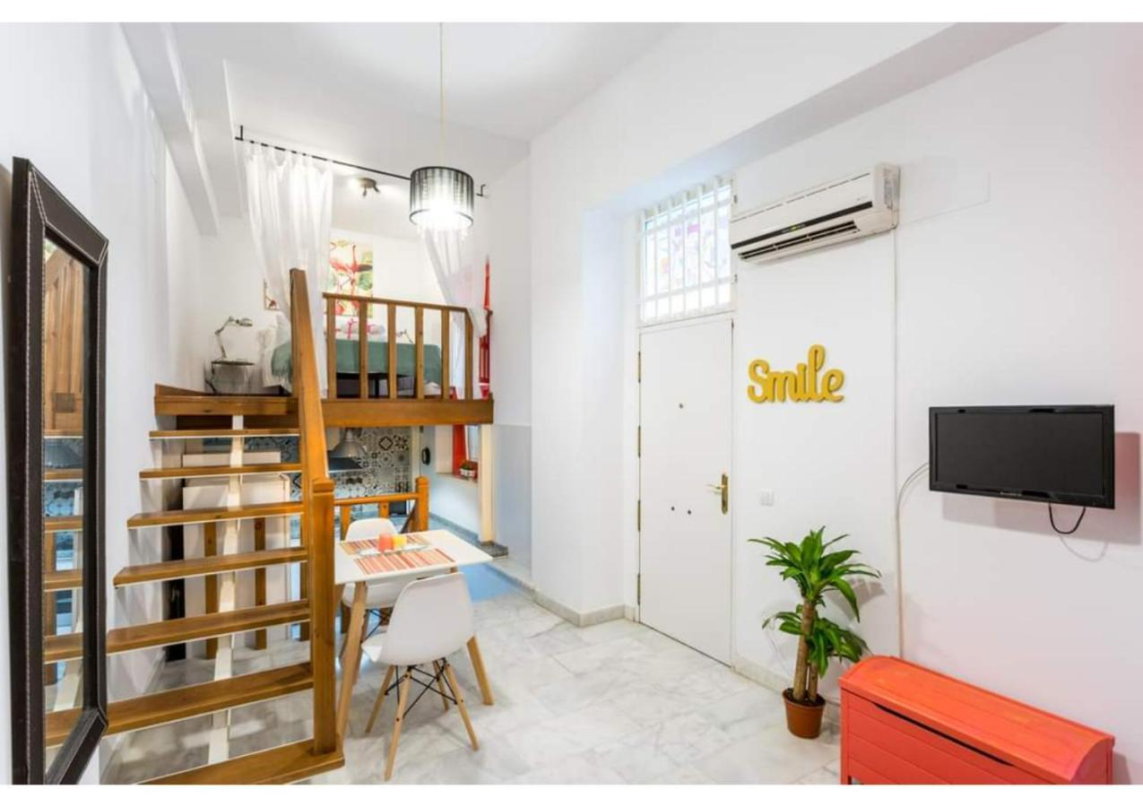 Appartement Center Duplex